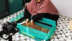 Ragam Produk Turunan Larva Maggot Pencetak Cuan Puluhan Juta