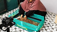 Fatimah melalui Magobox memproduksi starter kit beternak maggot yang bisa mengolah sampah organik sisa makanan rumah tangga. Foto: Eduardo Simorangkir