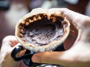 Ampas Kopi Jangan Dibuang ke Wastafel, Bisa Bikin Pipa Cepat Mampet