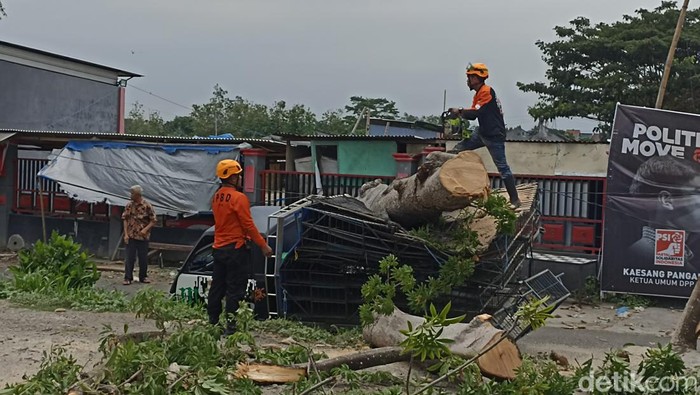 mobil tertimpa pohon di blitar
