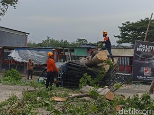 Pohon Tumbang gegara Angin Kencang Timpa Pikap di Kota Blitar