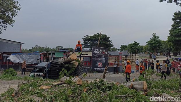 mobil tertimpa pohon di blitar
