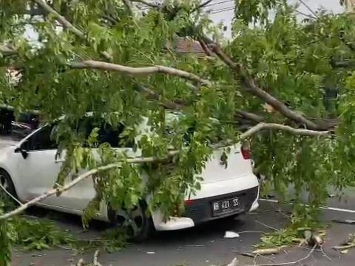Mobil tertimpa pohon tumbang di depan Gereja Katolik Santa Maria, Kecamatan Kartasura, Kabupaten Sukoharjo, Rabu (3/1/2024) siang.