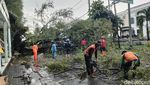 Penampakan Pohon Tumbang Usai Angin Kencang Melanda Kota Solo