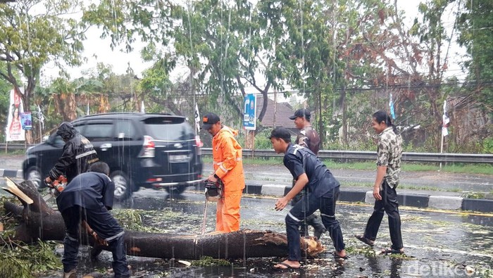 Petugas TRC BPBD, Koramil Banyudono dan relawan memotongi pohon yang patah dan tumbang di jalan Solo - Semarang, Banyudono, Boyolali, Rabu (3/12/2024)