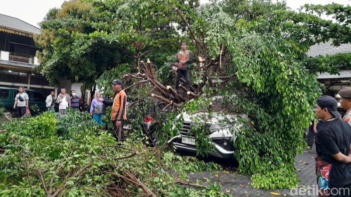 Pohon tumbang mengenai 2 mobil milik pengunjung Pasar Depok, Solo, Rabu (3/1/2024).