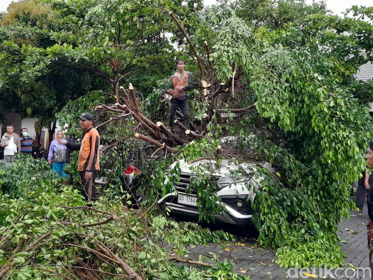 Penampakan Pohon Tumbang Usai Angin Kencang Melanda Kota Solo