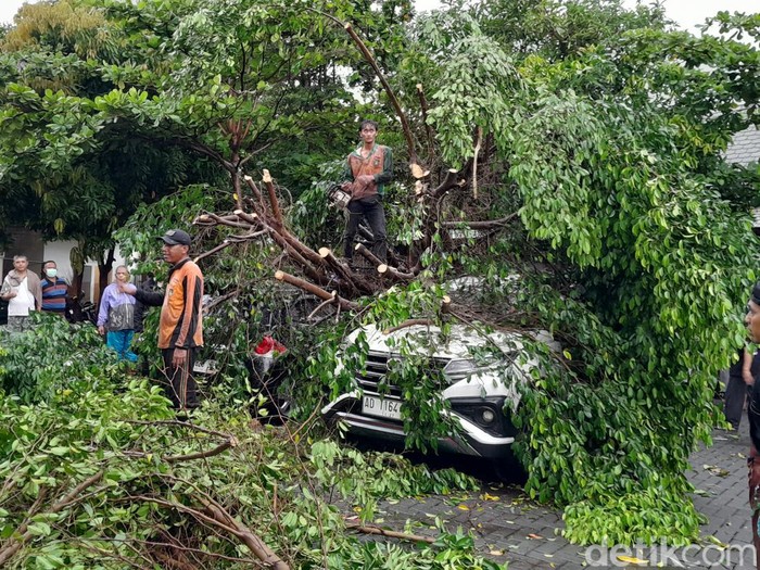 Pohon tumbang mengenai 2 mobil milik pengunjung Pasar Depok, Solo, Rabu (3/1/2024).