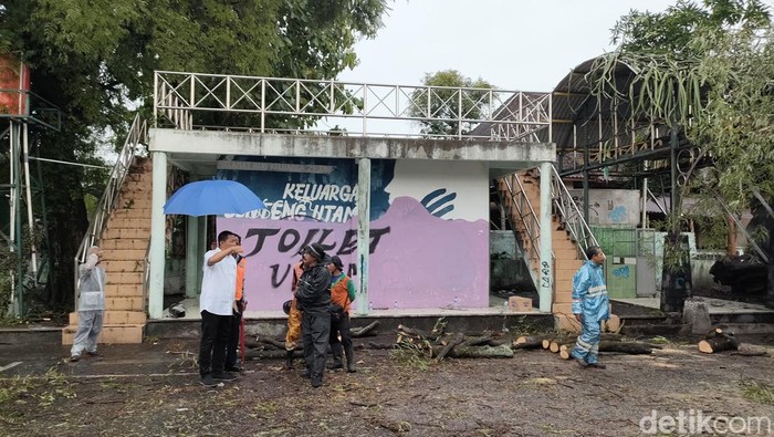 Wakil Wali Kota Solo Teguh Prakosa meninjau langsung lokasi pohon tumbang, Rabu (3/1/2024).