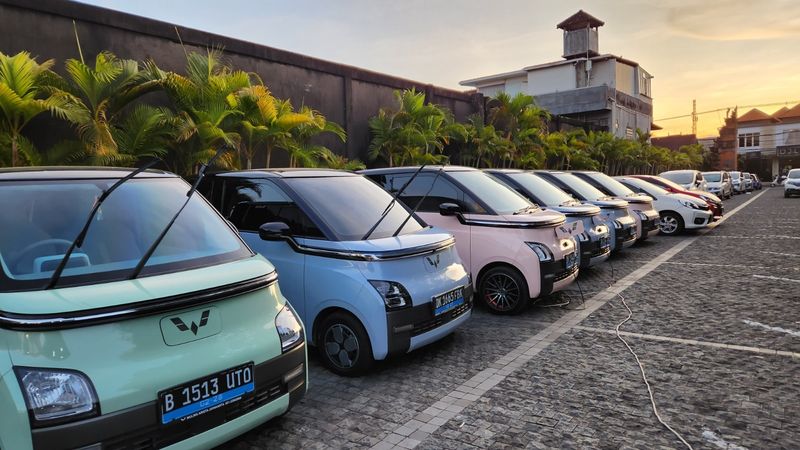 Rental Mobil Listrik di Bali