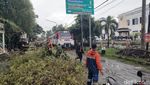Penampakan Pohon Tumbang Usai Angin Kencang Melanda Kota Solo