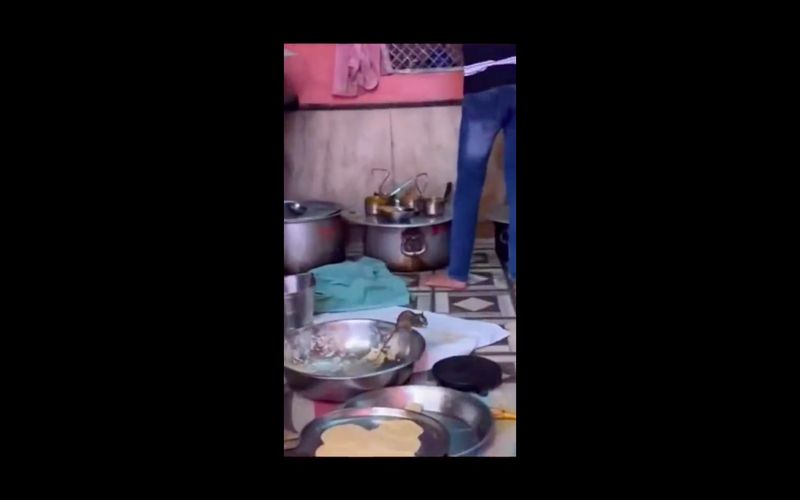 Warung makan di India ini dipenuhi dengan tikus yang dianggap hewan suci