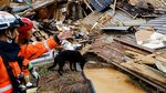 Anjing Pelacak Dikerahkan Cari Korban Gempa di Jepang