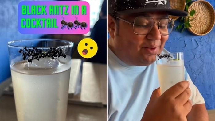 Cocktail semut panggang