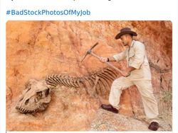 Deretan Foto Stok Pekerjaan yang Konyol Bikin Ngakak
