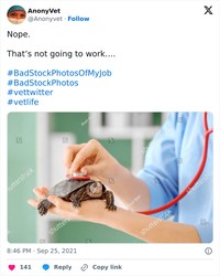 Foto Stok Nyeleneh Bikin Ngakak