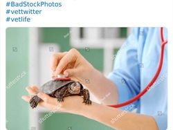 Deretan Foto Stok Pekerjaan yang Konyol Bikin Ngakak