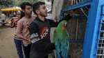 Dampak Genosida Israel di Gaza, Hewan di Kebun Binatang Ikut Kelaparan