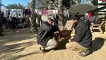 Dampak Genosida Israel di Gaza, Hewan di Kebun Binatang Ikut Kelaparan