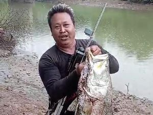 Ternyata Ini Penyebab Sungai Tayu Pati Banyak Ikan Jumbo