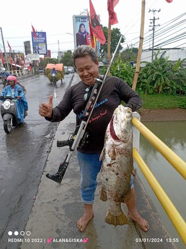 Pemancing menangkap ikan berukuran besar dari bawah jembatan Sungai Tayu, Pati, Rabu (3/1/2024).