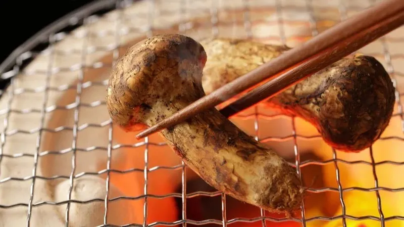 Ini 5 Makanan Paling Langka di Dunia, Daging Kobe hingga Saffron