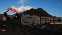 Kebutuhan batu bara yang meningkat di tahun 2025 itu masih didominasi untuk keperluan pembangkit listrik tenaga batu bara milik PT PLN (Persero) yang mencapai 129 juta ton.  
