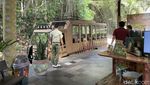 Liburan Seru di Taman Safari Bali