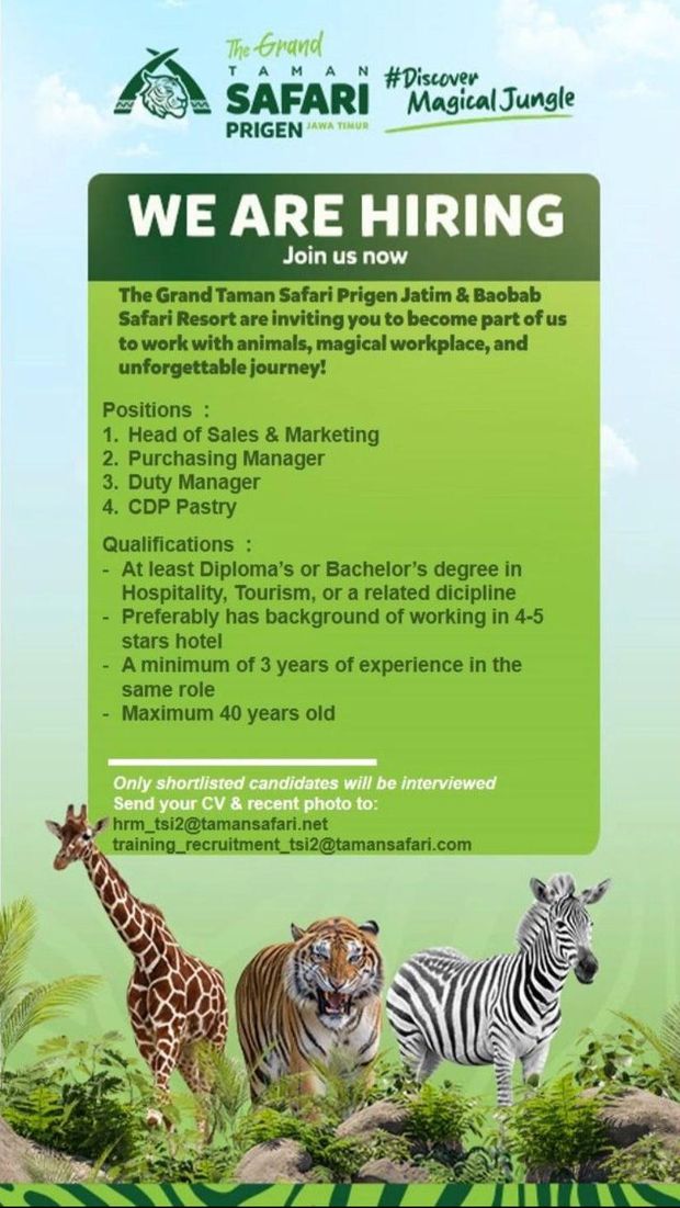 Taman Safari Prigen Jawa Timur sedang membuka lowongan kerja (loker). Yuk cek kualifikasinya, siapa tahu cocok dengan detikers.