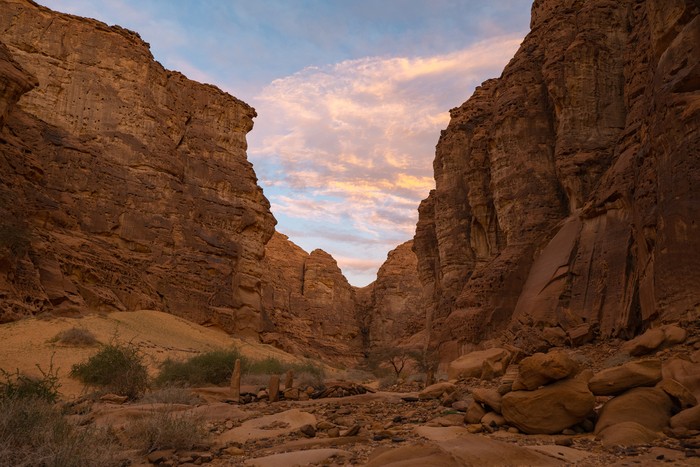 Buses are parked at different places in the desert to take tourists to different places during the day in Al-Ula, Saudi Arabia.