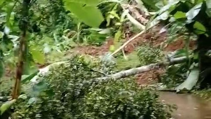 Material longsor di Cianjur tutupi jalan 2 kecamatan