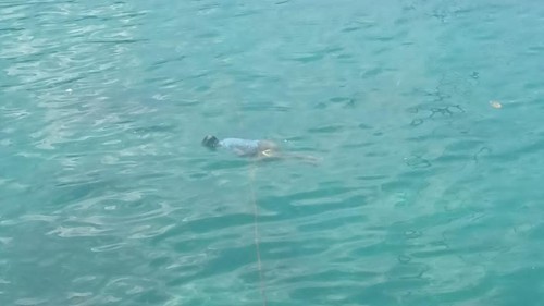 Mayat pria tanpa identitas ditemukan tewas mengapung di Pelabuhan Tenau, Kota Kupang, NTT, Kamis (4/1/2024). (Dok Polsek Alak).