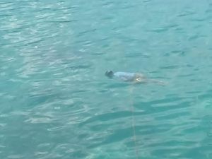 Terungkap, Identitas Mayat Terapung di Pelabuhan Tenau Kupang