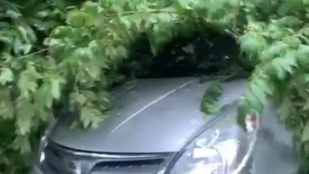 Mobil tertimpa pohon di Desa Gonilan, Kecamatan Kartasura, Sukoharjo, Kamis (4/1/2024).