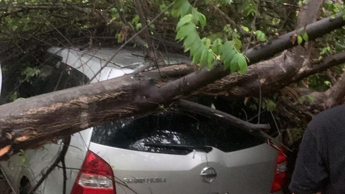 Mobil tertimpa pohon di Desa Gonilan, Kecamatan Kartasura, Sukoharjo, Kamis (4/1/2024).