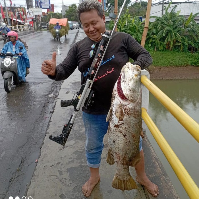 Pemancing mendapatkan seekor ikan seberat 12,5 kilogram di Sungai Silugonggo Tayu, Pati, Rabu (3/1/2024).