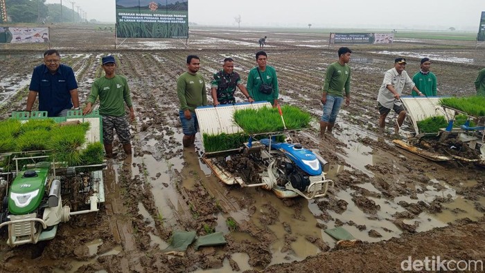 Penanaman padi di lahan 30 hektare di Subang