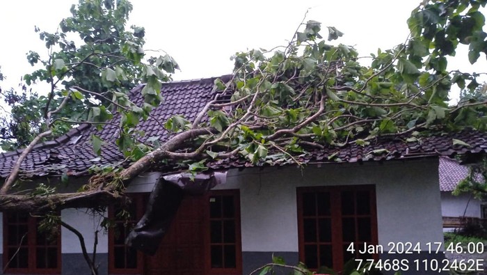 Dampak hujan angin kencang di Kabupaten Sleman, Kamis (4/1/2024) sore.