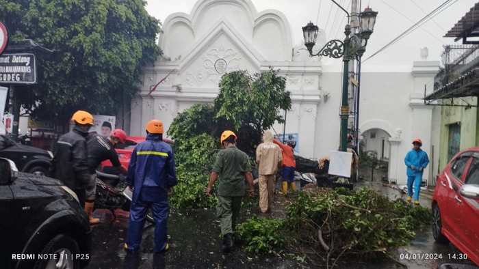 Pohon tumbang di Plengkung Wijilan, Kota Jogja, Kamis (4/1/2024).