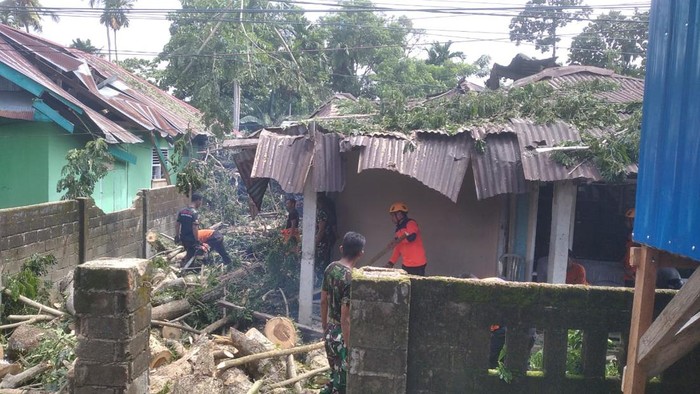 Pohon tumbang timpa rumah warga di Palopo, Sulsel.
