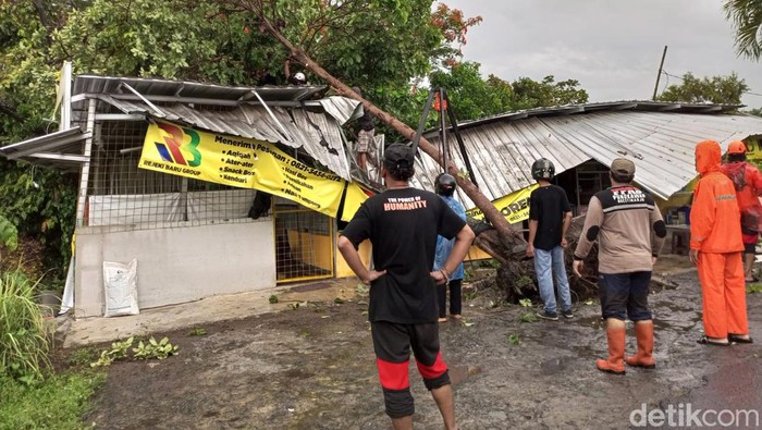 Pohon alpukat yang menimpa warung di Sonopakis Kidul, Ngestiharjo, Kasihan, Bantul, Kamis (4/1/2024).