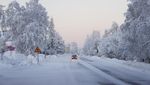 Potret Swedia Alami Cuaca Dingin Ekstrem, Suhu di Bawah Minus 40