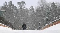 Institut Meteorologi dan Hidrologi Swedia melaporkan suhu minus 30 C (minus 22 F) di beberapa lokasi di Swedia utara, dan mengeluarkan peringatan akan adanya salju dan angin di Swedia tengah dan selatan. Peringatan tertinggi kedua berlaku mulai tengah malam hingga Rabu. Anders Wiklund/TT News Agency via AP
