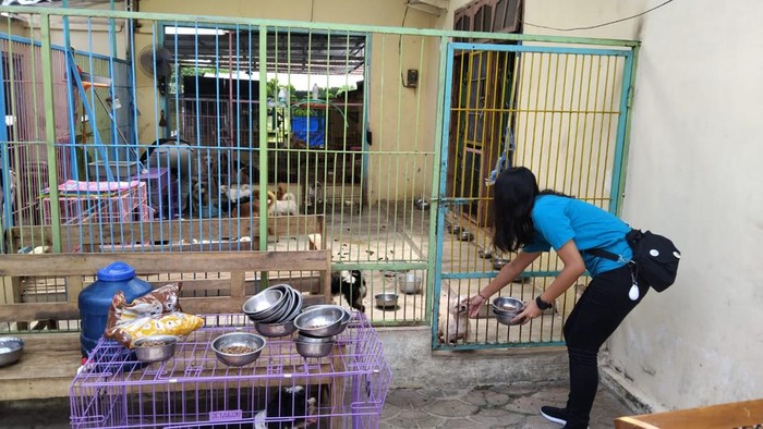 shelter lokasi pembunuhan di kota blitar