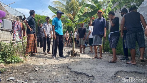Warga di Banjar Dinas Kaja Kangin, Desa/Kecamatan Kubutambahan, Kabupaten Buleleng, menanam pohon di jalan, Kamis (4/1/2024).