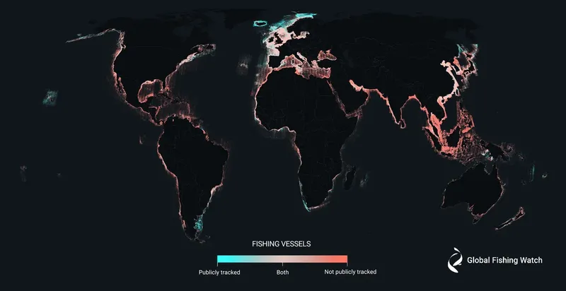 Global Fishing Watch