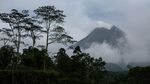 Gunung Merapi Semburkan Asap Solfatara