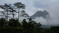 Menurut data BPPTKG telah terjadi tiga kali awan panas guguran pada pukul 18.18 WIB dan 20.47 WIB (4/1/2024) dan pukul 05.34 WIB (5/1/2024) dengan jarak luncuran maksimal 1.800 meter.  