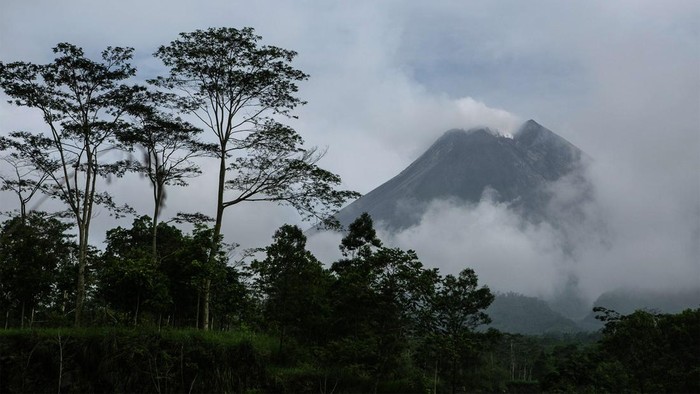 Asap solfatara membumbung keluar dari kawah Gunung Merapi terlihat dari Cangkringan, Sleman, DI Yogyakarta, Jumat (5/1/2024). Menurut data BPPTKG telah terjadi tiga kali awan panas guguran pada pukul 18.18 WIB dan 20.47 WIB (4/1/2024) dan pukul 05.34 WIB (5/1/2024) dengan jarak luncuran maksimal 1.800 meter, tingkat aktivitas Gunung Merapi Siaga (level III). ANTARA FOTO/Hendra Nurdiyansyah/YU