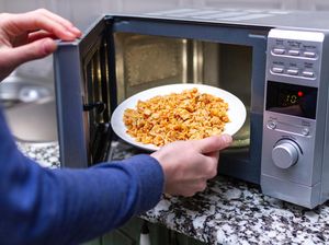Hati-hati! Ilmuwan Ungkap Ada Mikroba yang Bisa Hidup di Microwave